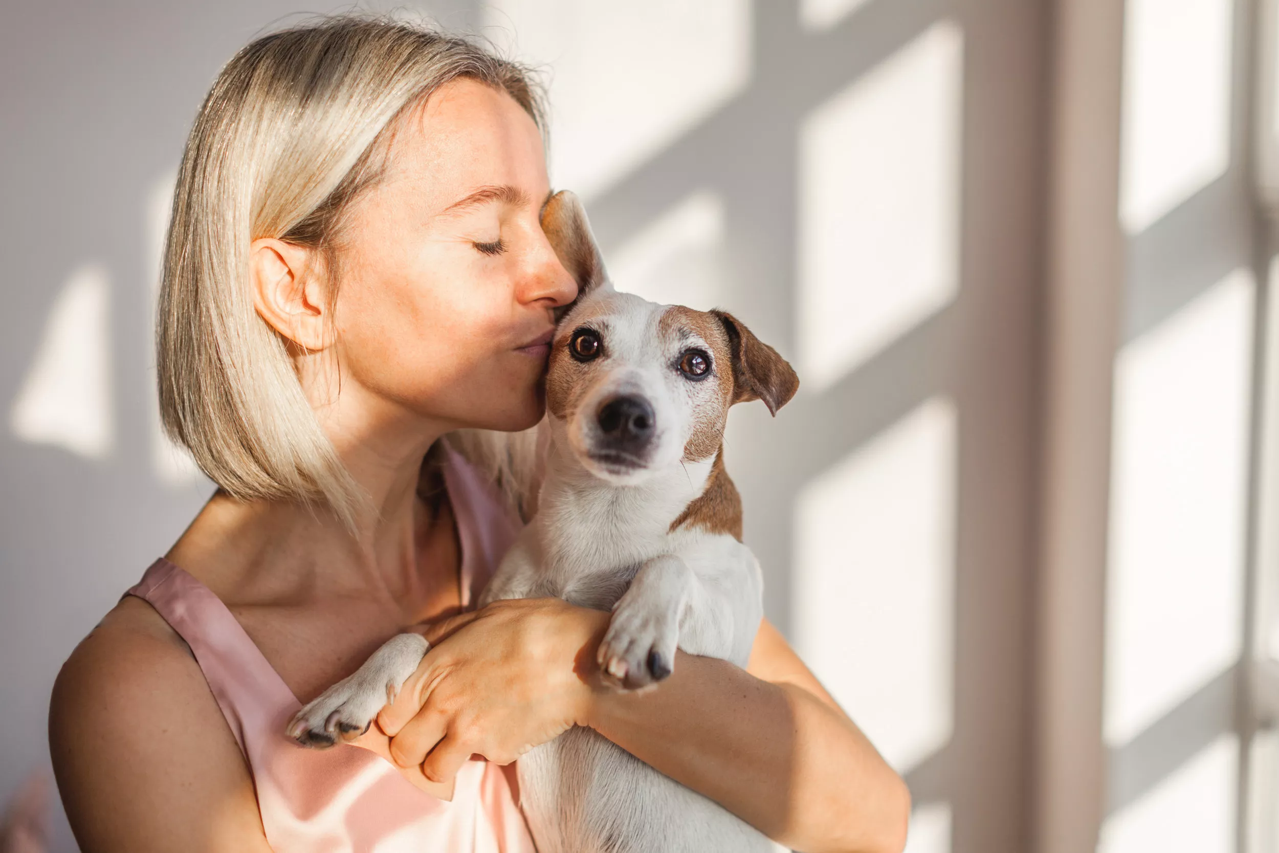 Tears Over Rescue Dog's Reaction to Her Foster Mom Officially Adopting Her - Vimarsana News