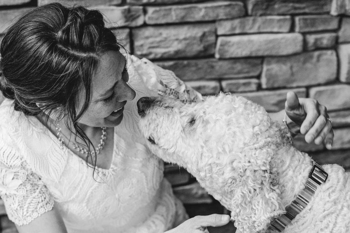 Hearts Melt as Bride Makes Special Stop to See Dog in Her Wedding Dress