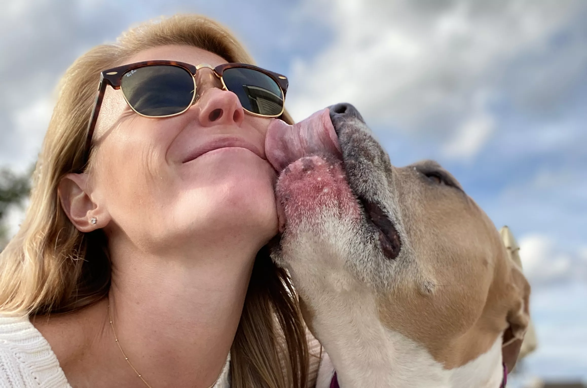Dog Noticeably 'Upset' After Uber Driver Asks Her To Sit on Floor Not Seat - Vimarsana News