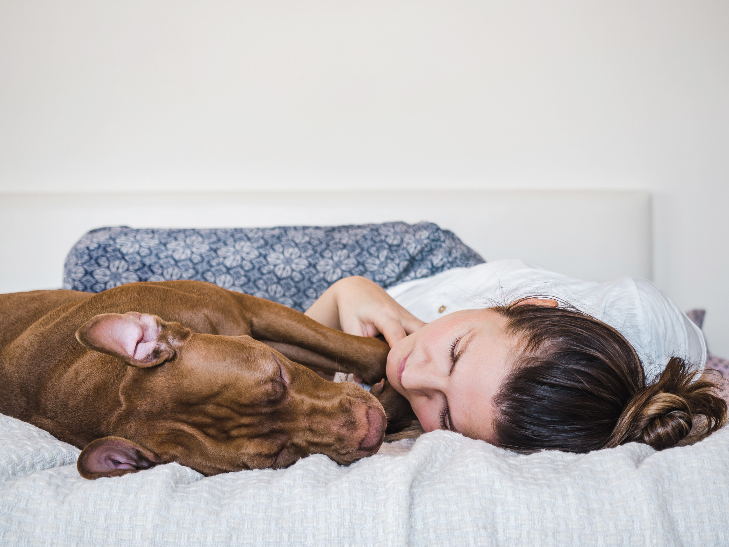 Dog sleep with owner hotsell