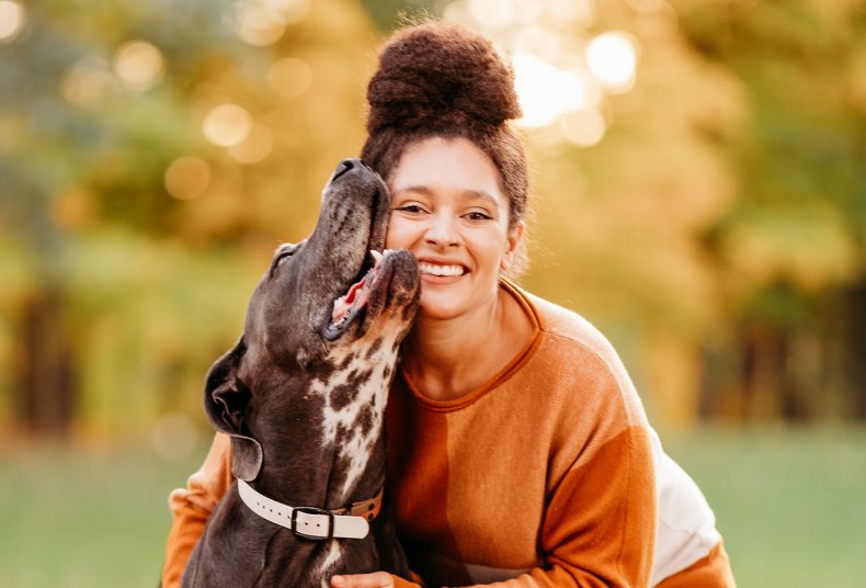 Dog Story