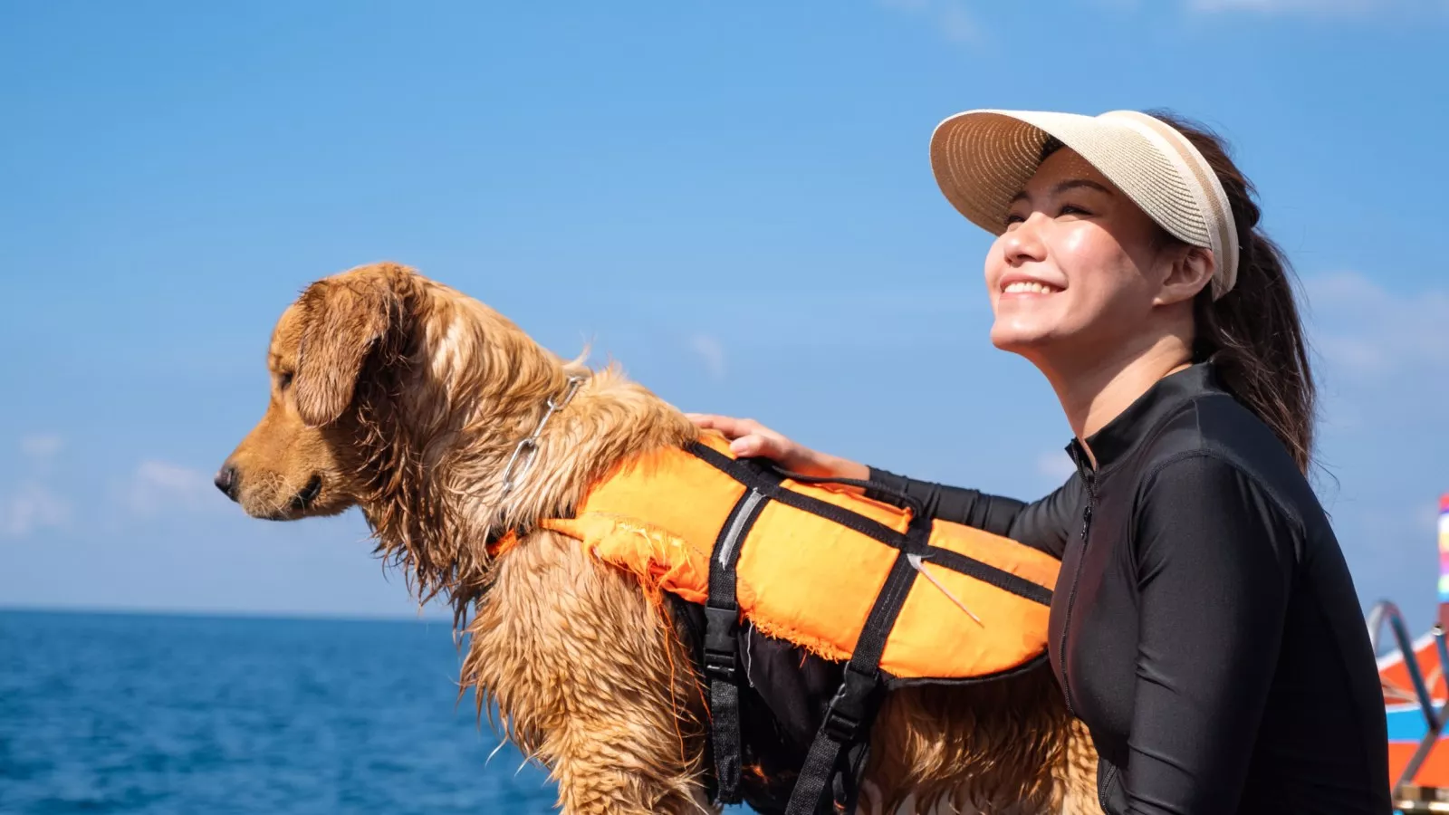 Best life jacket top for golden retriever