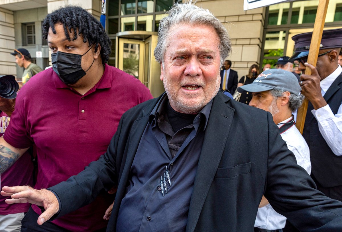 Steve Bannon Twitter Shocked