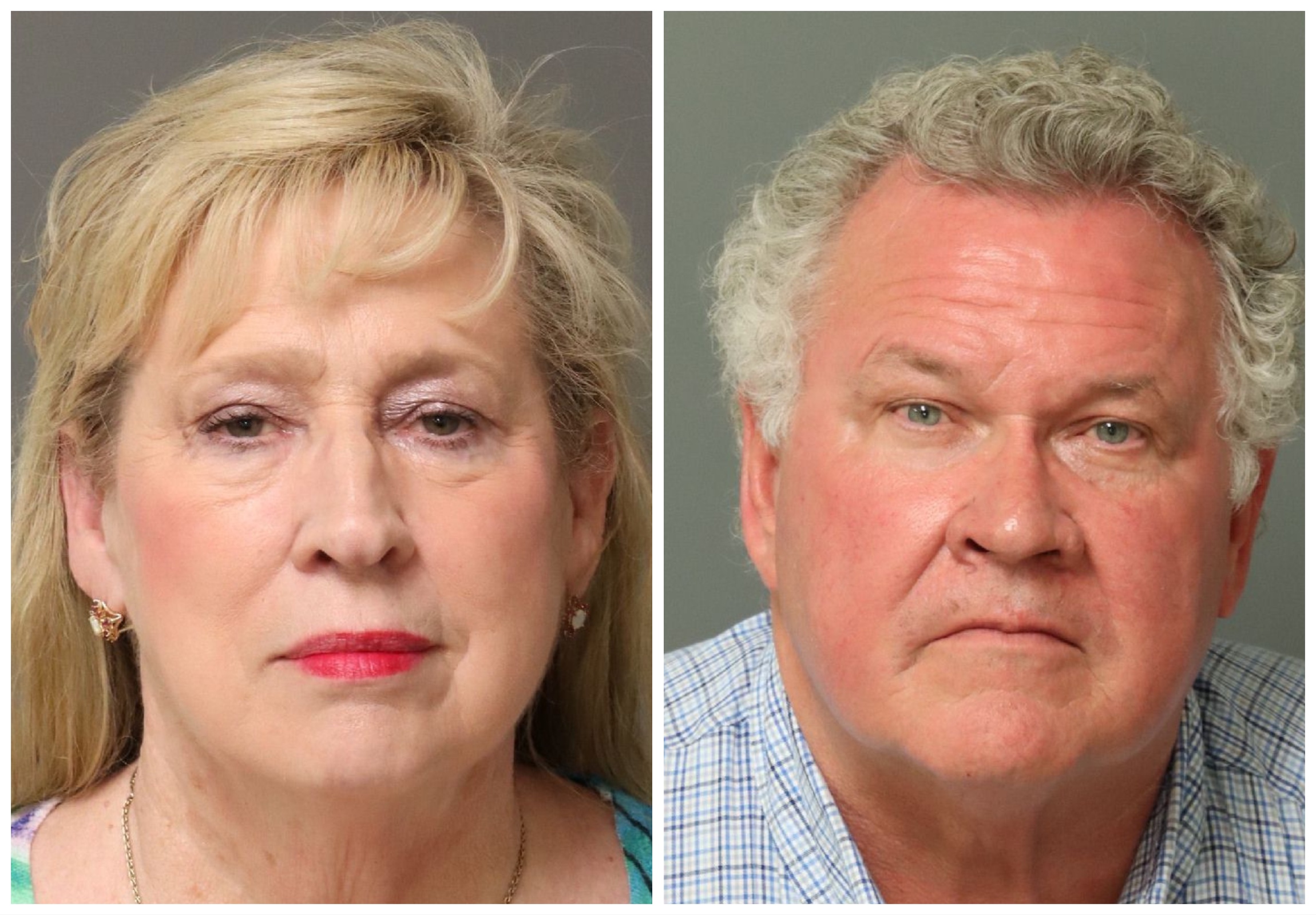 Animal Rescue Worker Arrested After Poisoning Multiple Dogs&mdash;Police