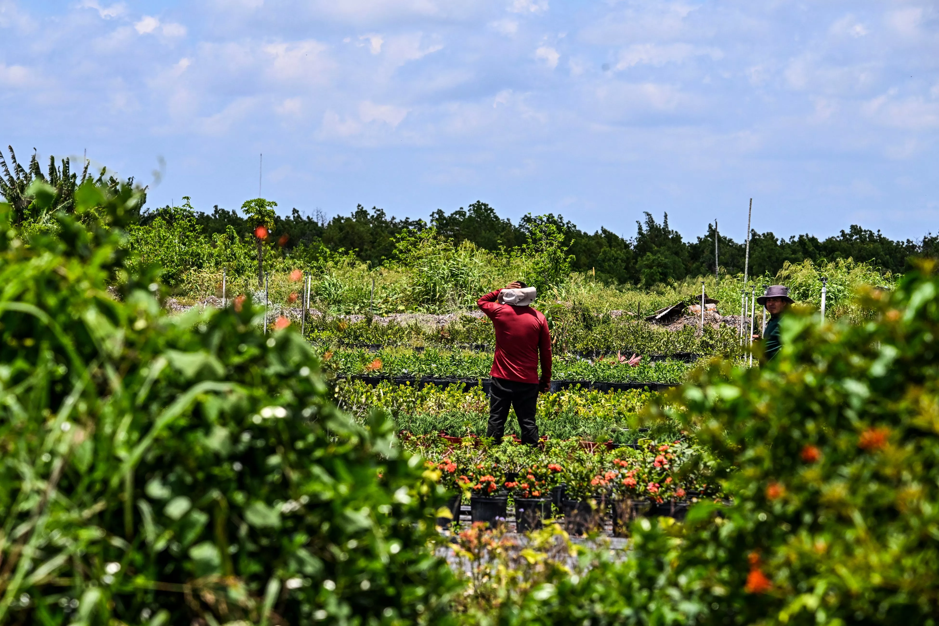 Florida E-Verify Law Could Trigger Mass Labor Shortage - Vimarsana News