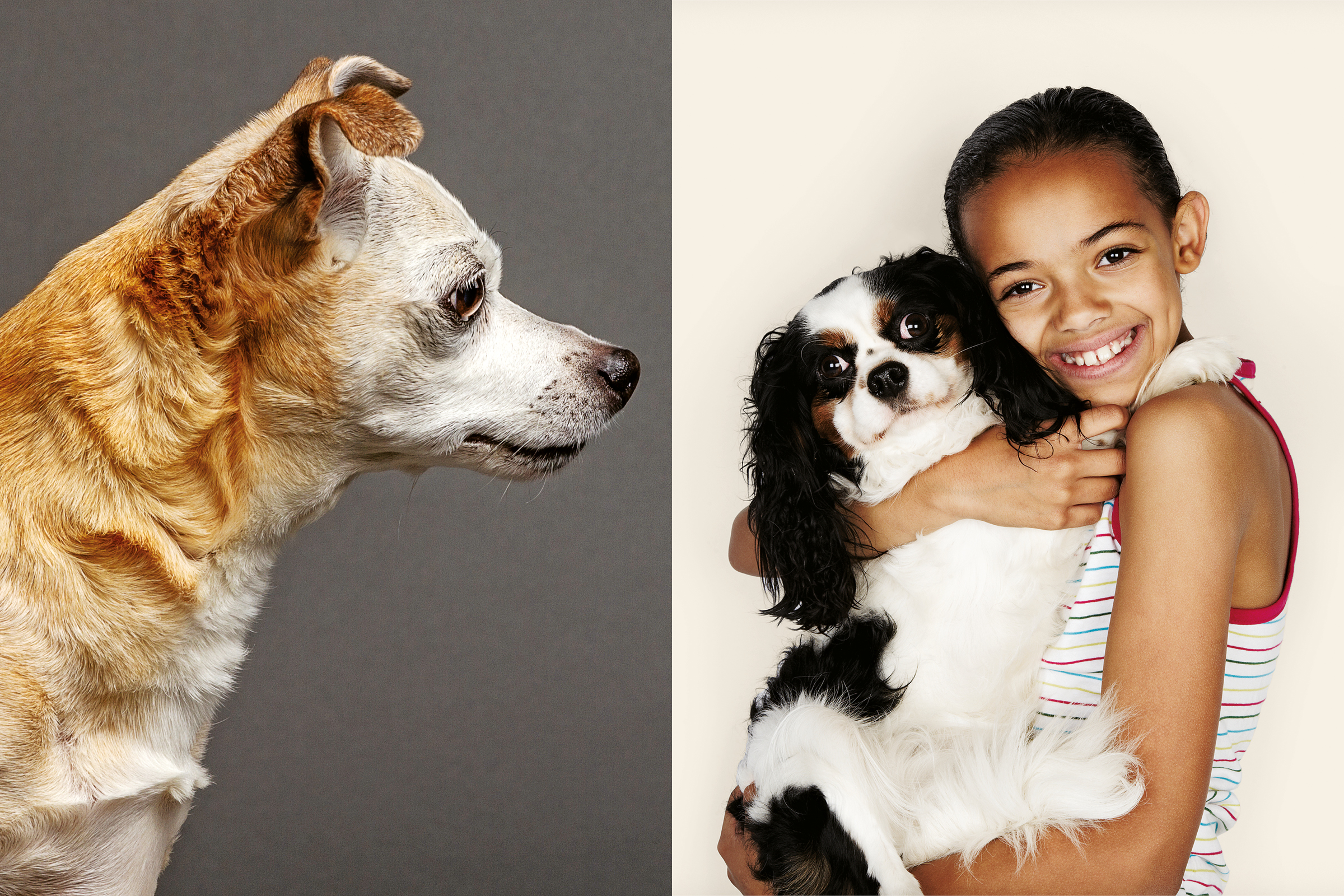 Do dogs love cheap