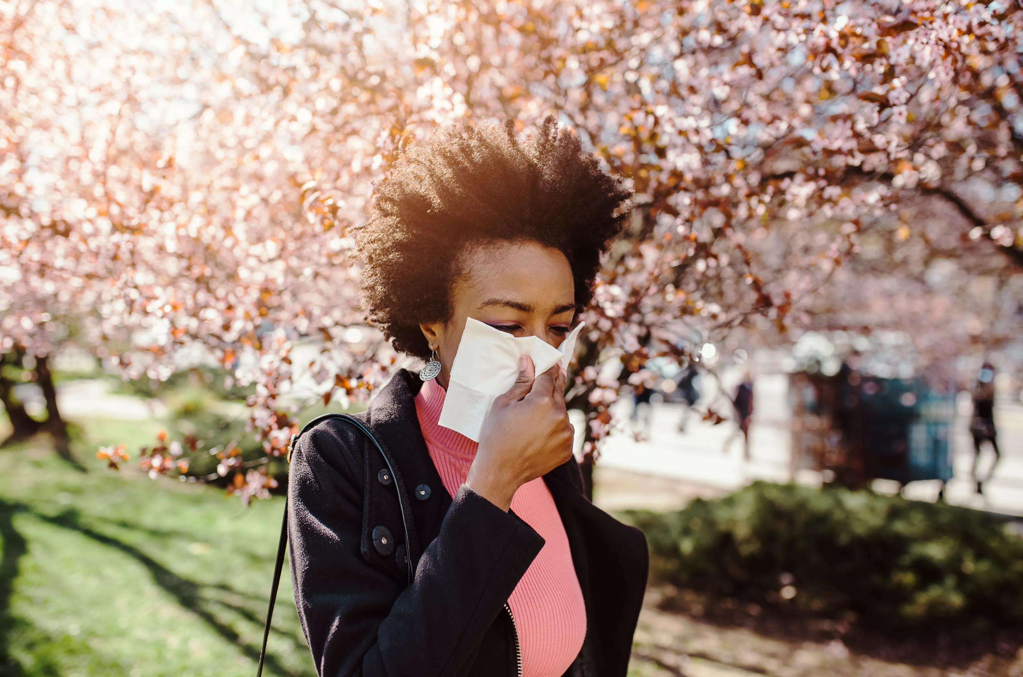Are Your Seasonal Allergies Getting Worse? Blame Climate Change - Vimarsana News