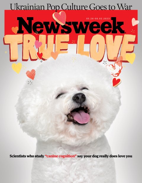 Cover FE Dogs Bichon