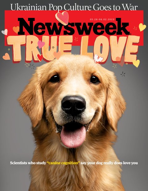 Cover FE Dogs Golden Retriever