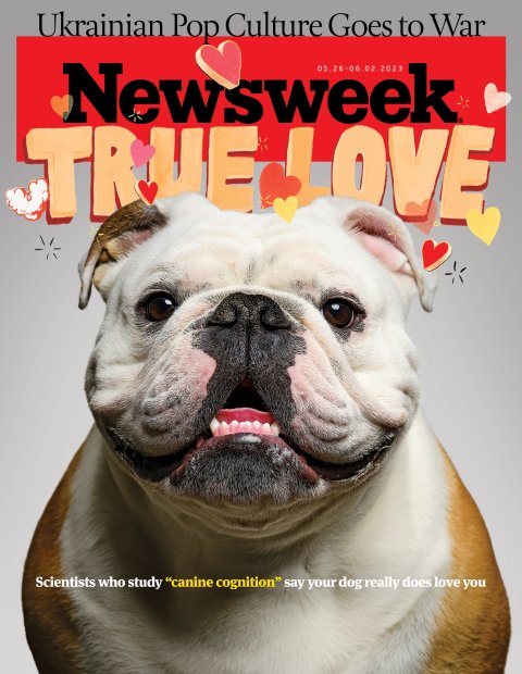 Cover FE Dogs Bulldog