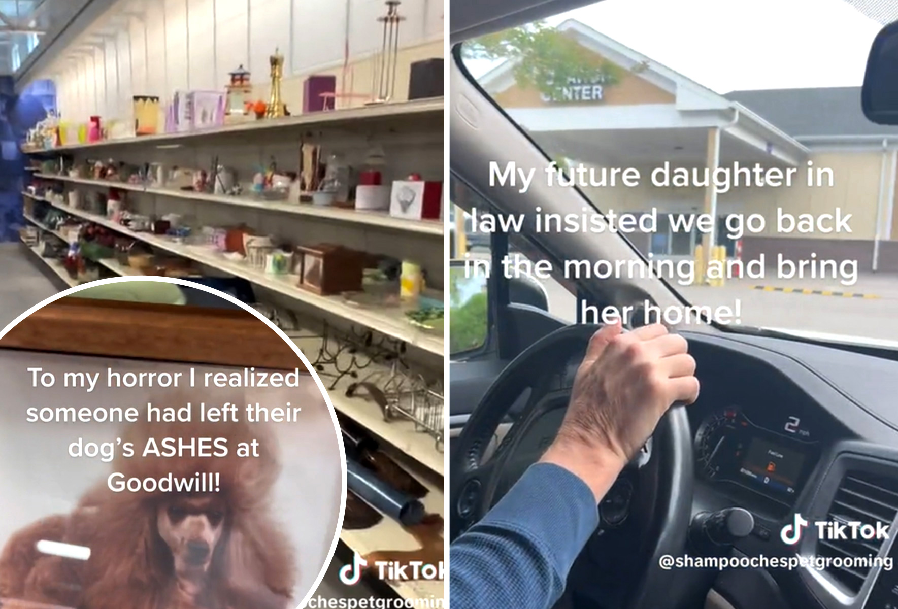 Woman Finds Dog's Ashes at Thrift Store and Shares Why She Couldn't Not