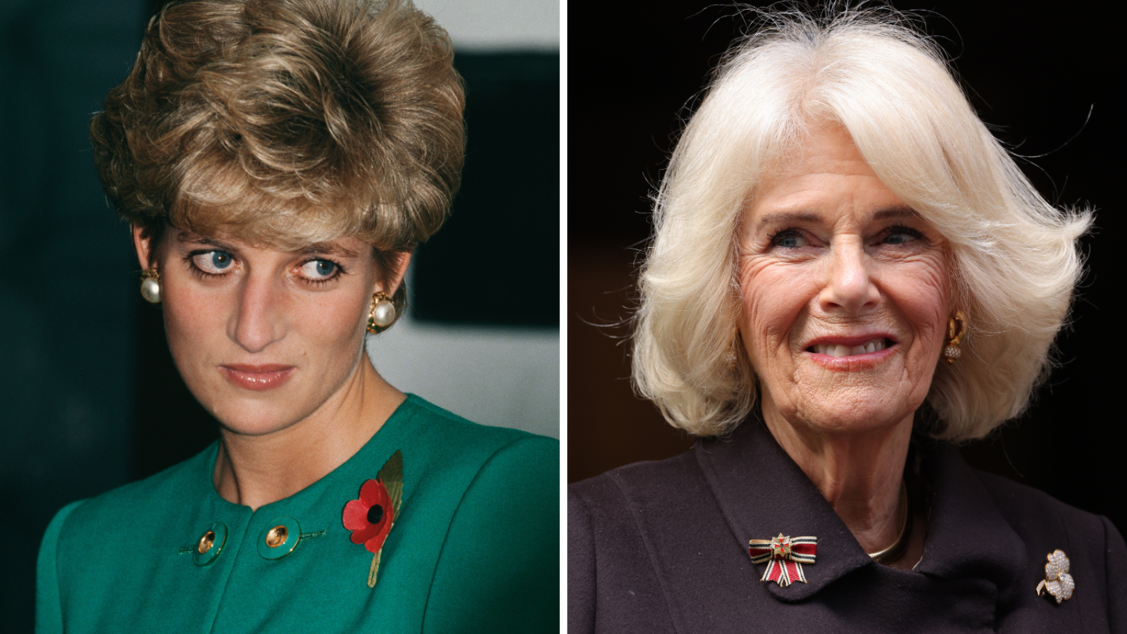 Princess Diana's 'Confrontation' With Queen Camilla Resurfaces - Newsweek