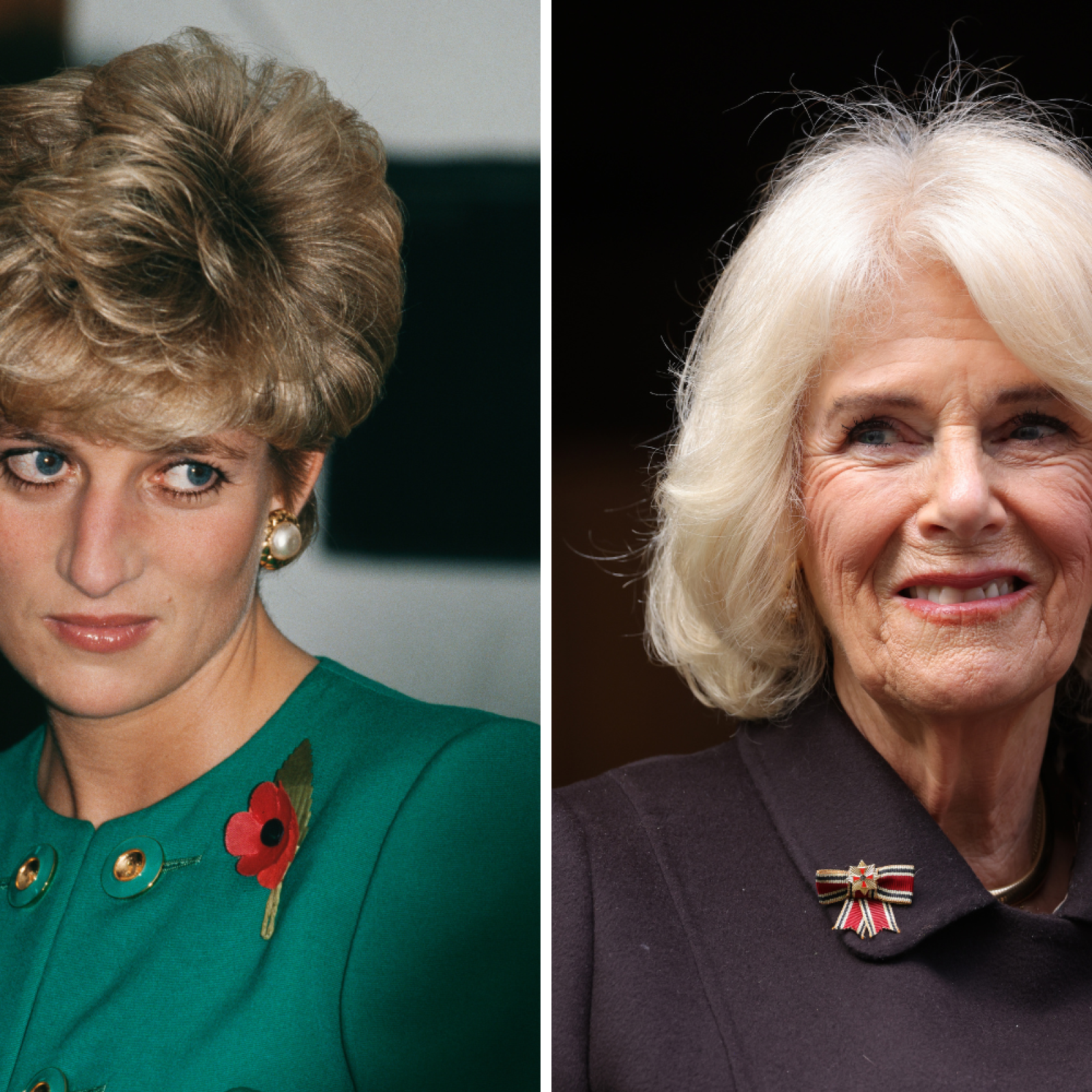 Princess Diana's 'Confrontation' With Queen Camilla Resurfaces
