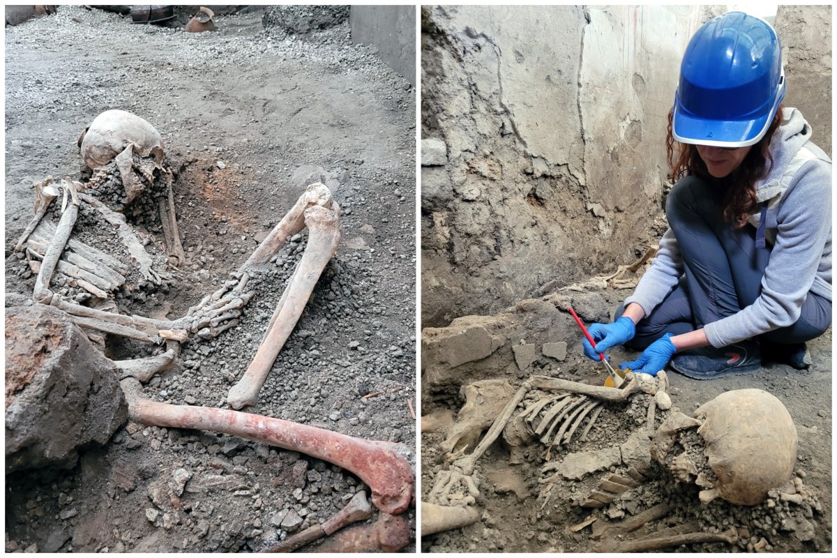 Pompeii survivor excavation 