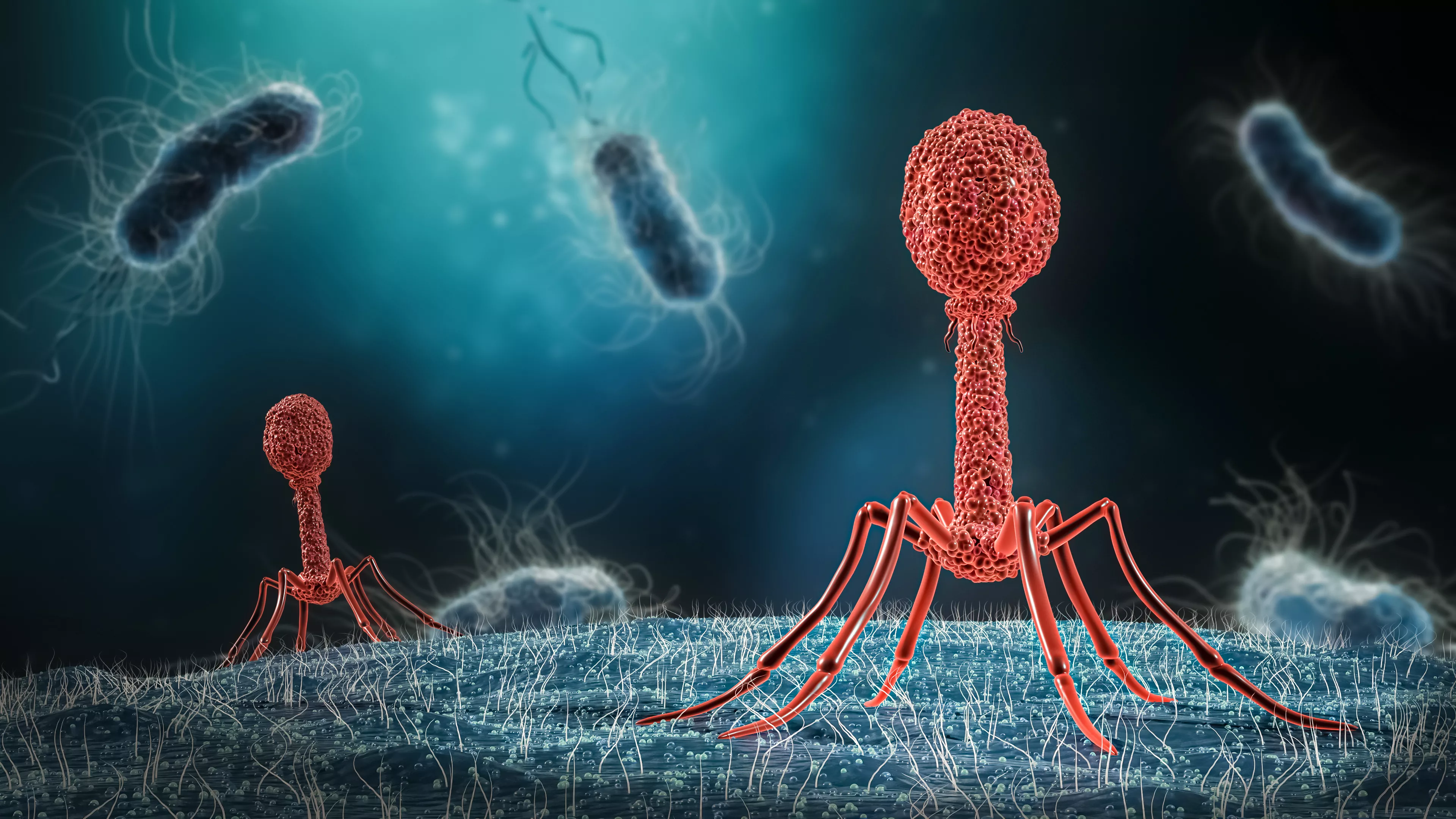 The Looming Superbug Crisis—And How to Beat It - Vimarsana News