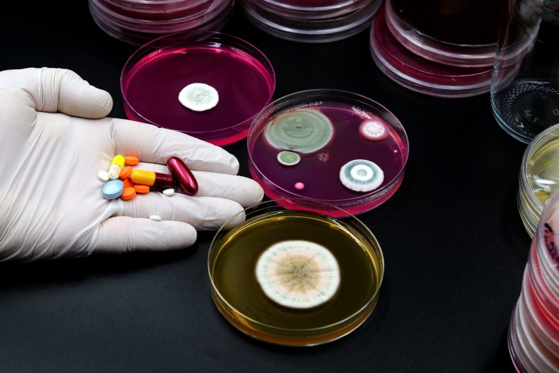 antibiotic resistant bacteria