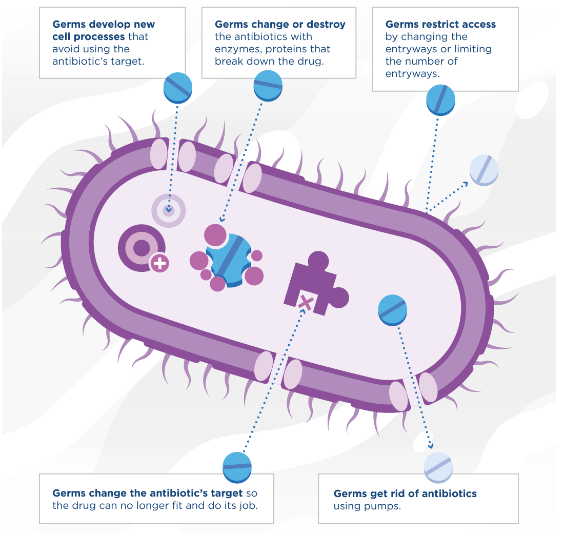 The Looming Superbug Crisis—And How To Beat It