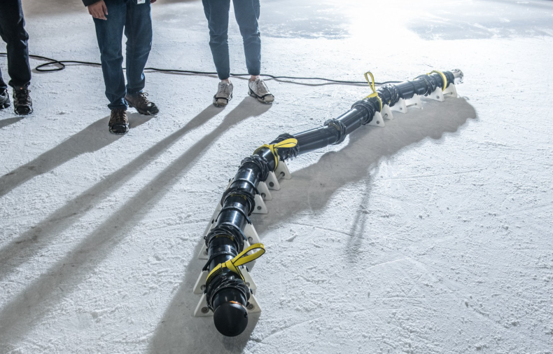 eel on ice