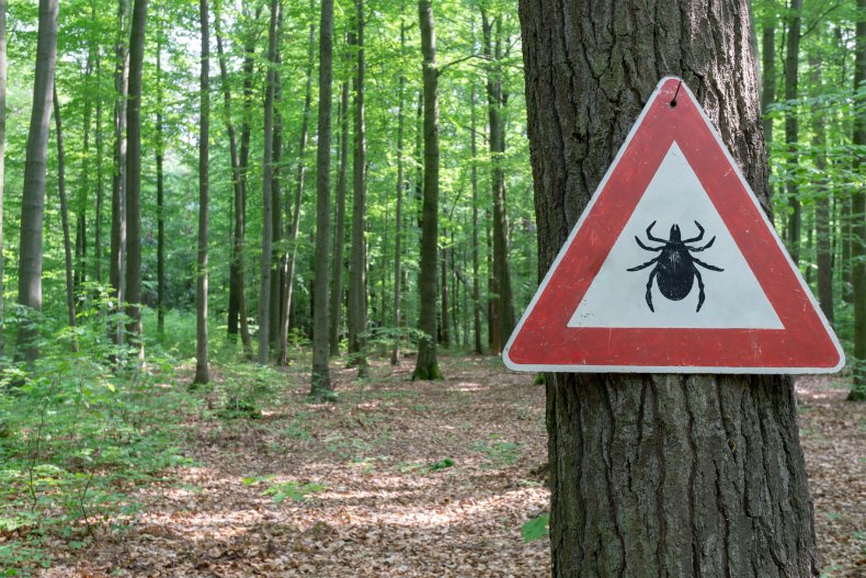 Tick warning