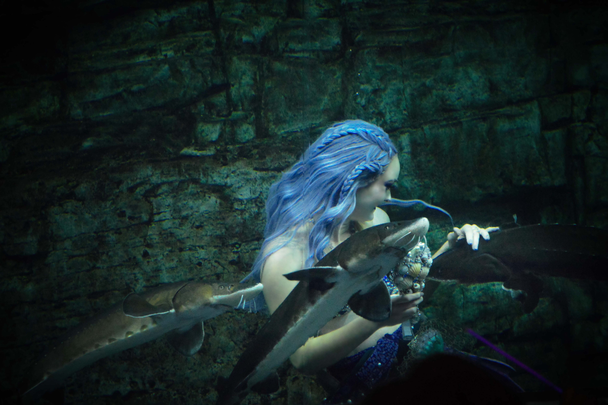 VanValkenburg as Mermaid Echo performing under water