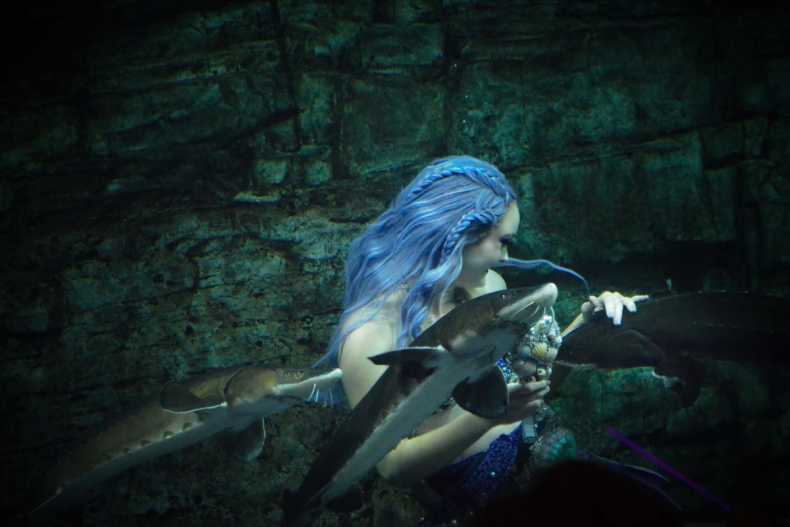 VanValkenburg as Mermaid Echo performing under water