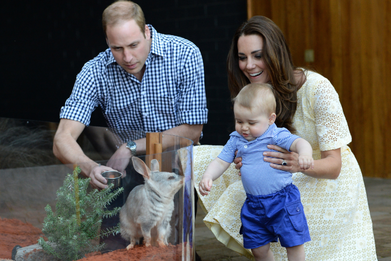 Prince George and Bilby in Australia