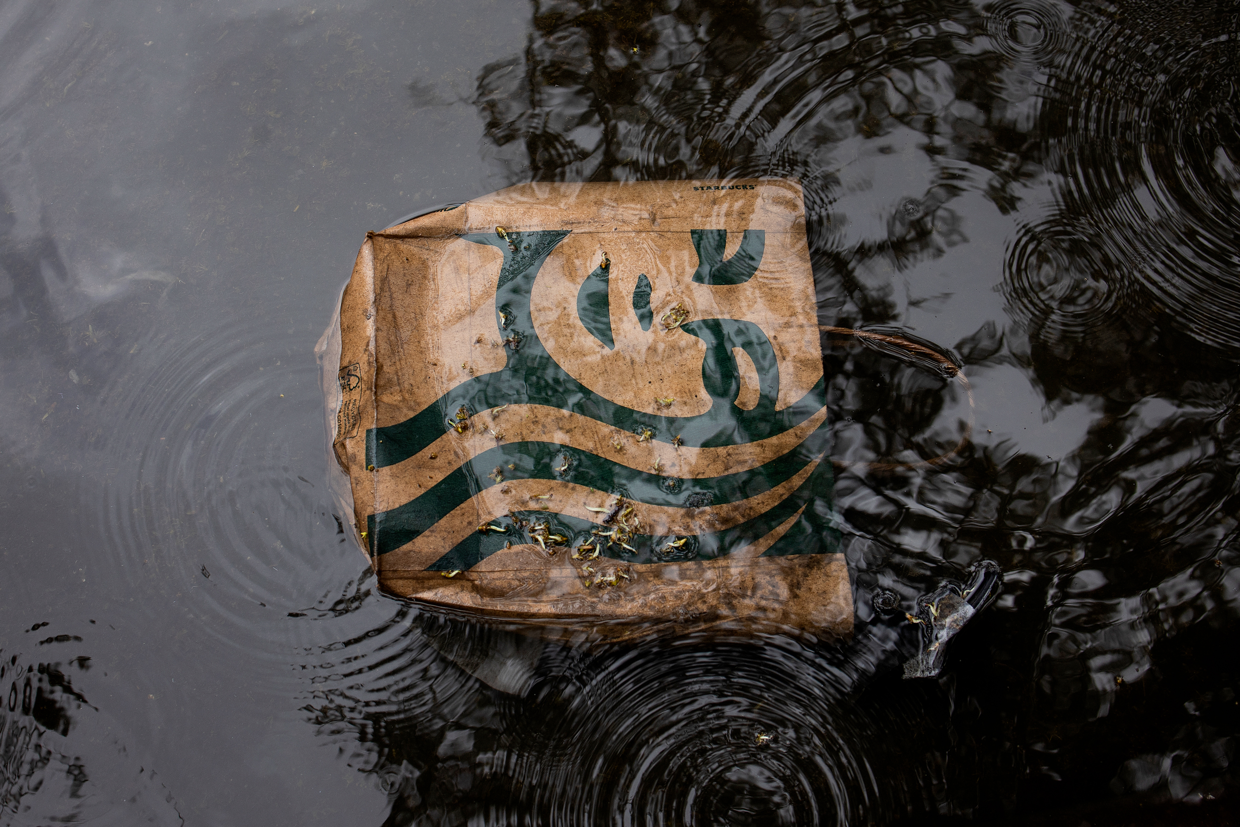 Conservatives Dig Up Old LGBTQ+ Campaigns After Bud Light Boycott Success