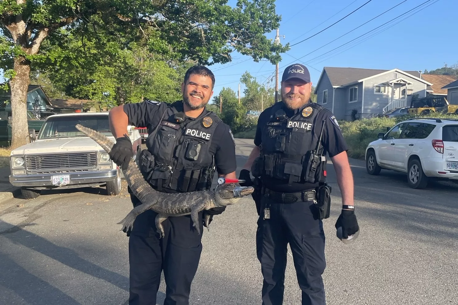 Shock as Oregon Woman Finds Alligator in Her Driveway - Vimarsana News