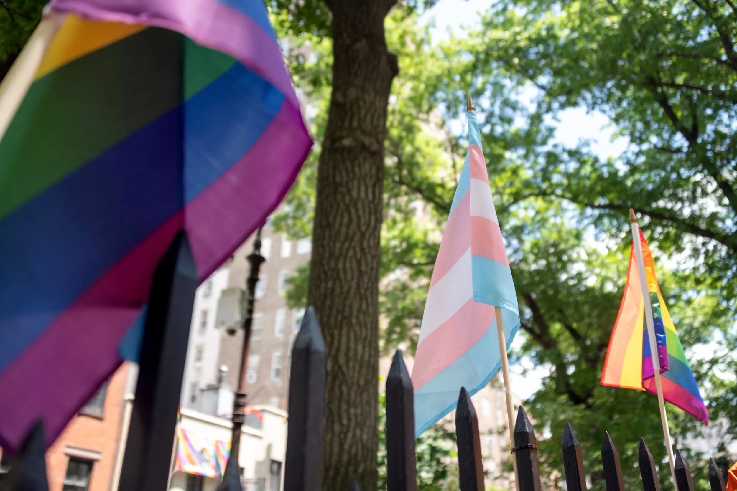 Mississippi Court Rules Trans Girl Must Dress as Boy for School Graduation - Vimarsana News