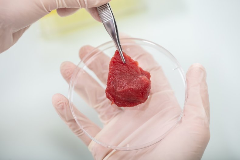 meat in lab