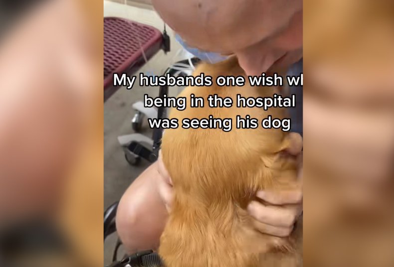 Dog Visits Owner in Hospital 