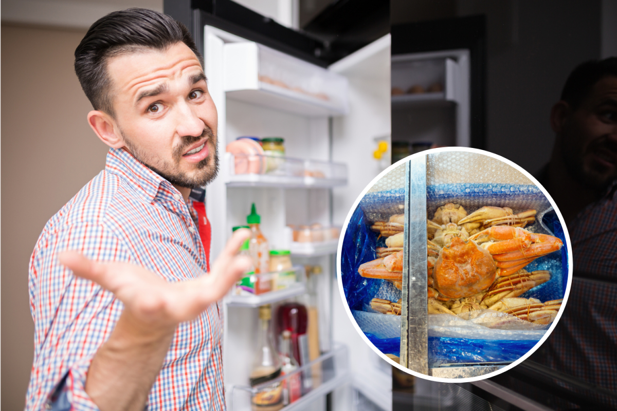 Man confused fridge, frozen crab
