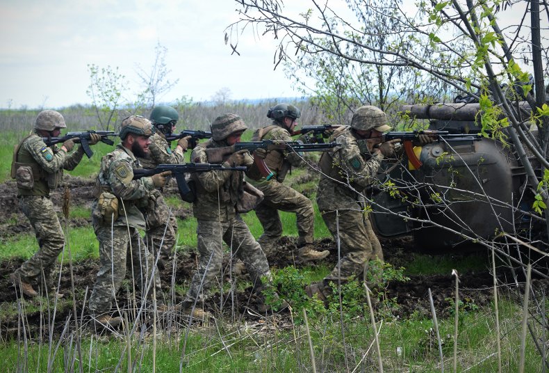 Ukrainian Troops Exercise 