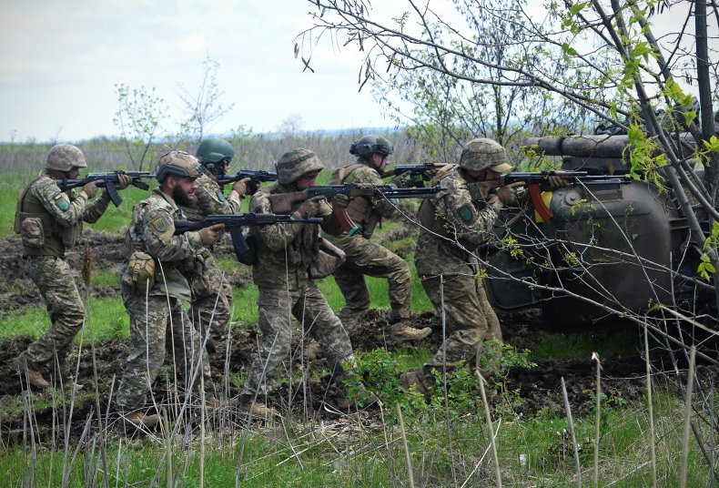 Ukrainian Troops Exercise