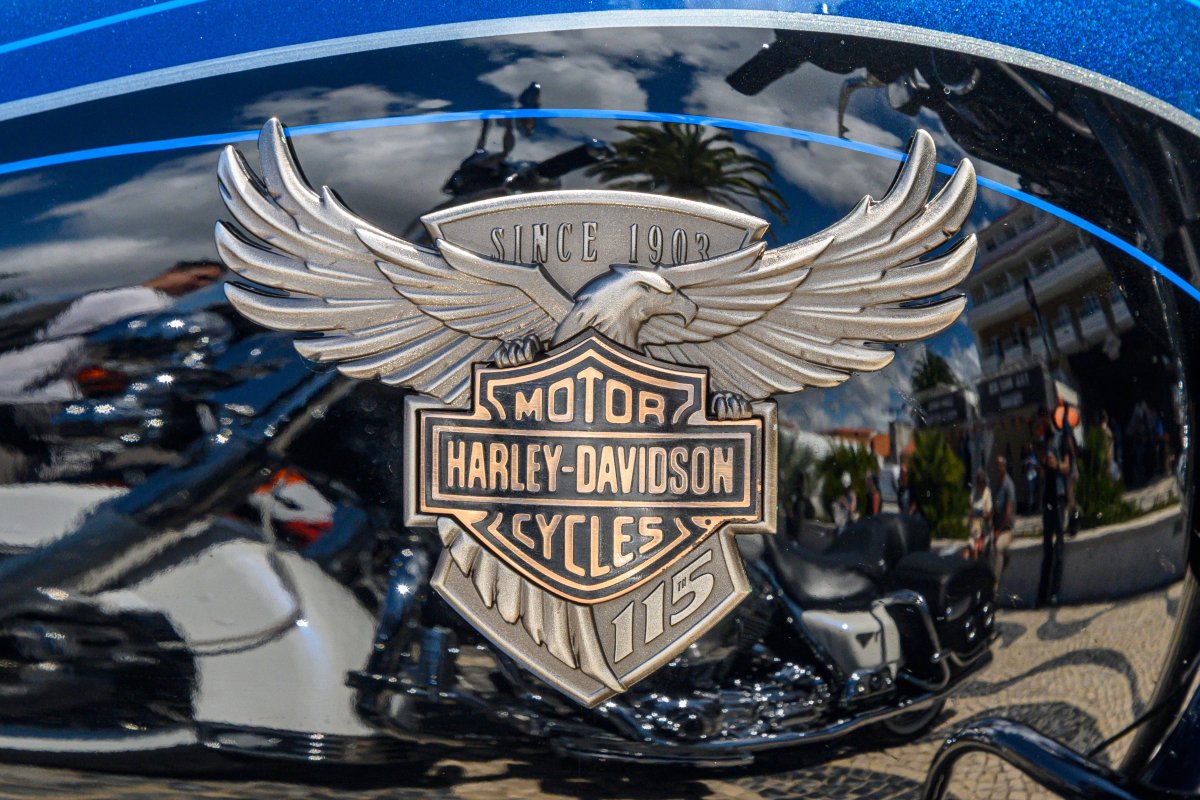 Harley-Davidson's social media followers hold steady