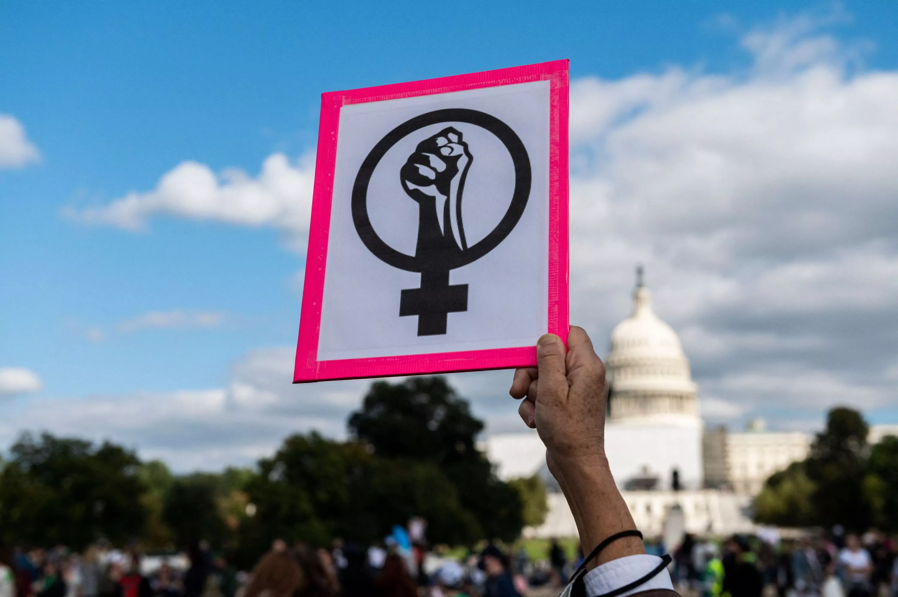 Feminism Overshot the Goal - Vimarsana News