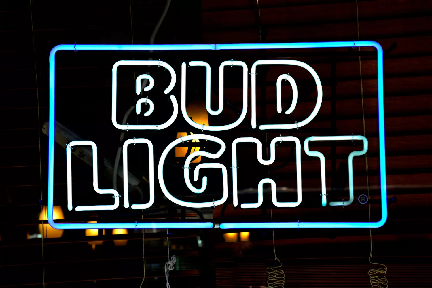 Photo of 18-Pack of Bud Light Selling for $2.99 Mocked - Vimarsana News
