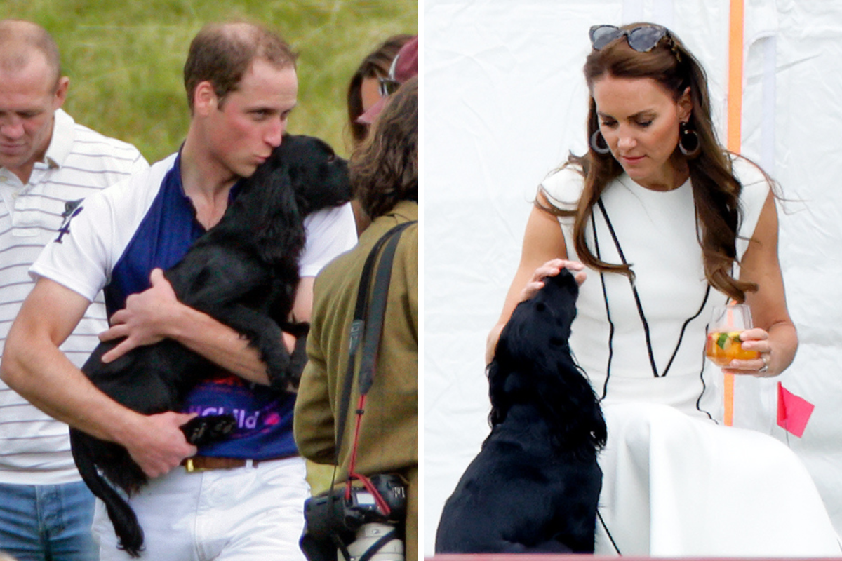 Prince William and Kate Middleton Dogs