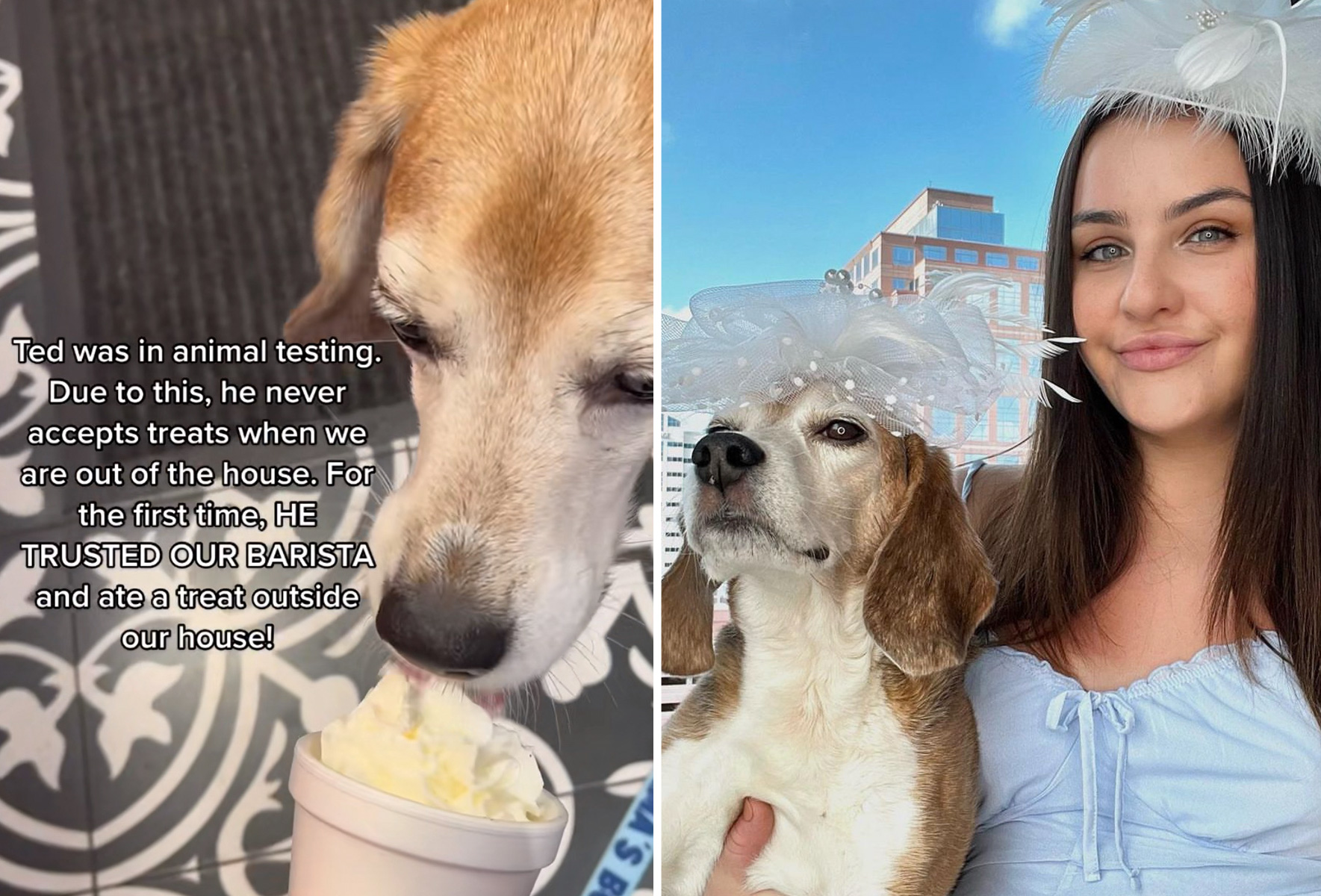 Dog tries pup cup for the first time, pictures show his happy reaction