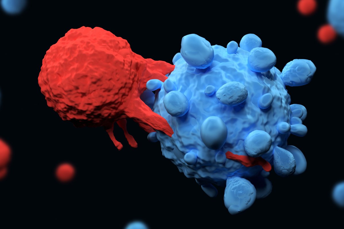 A T cell targeting a cancer cell