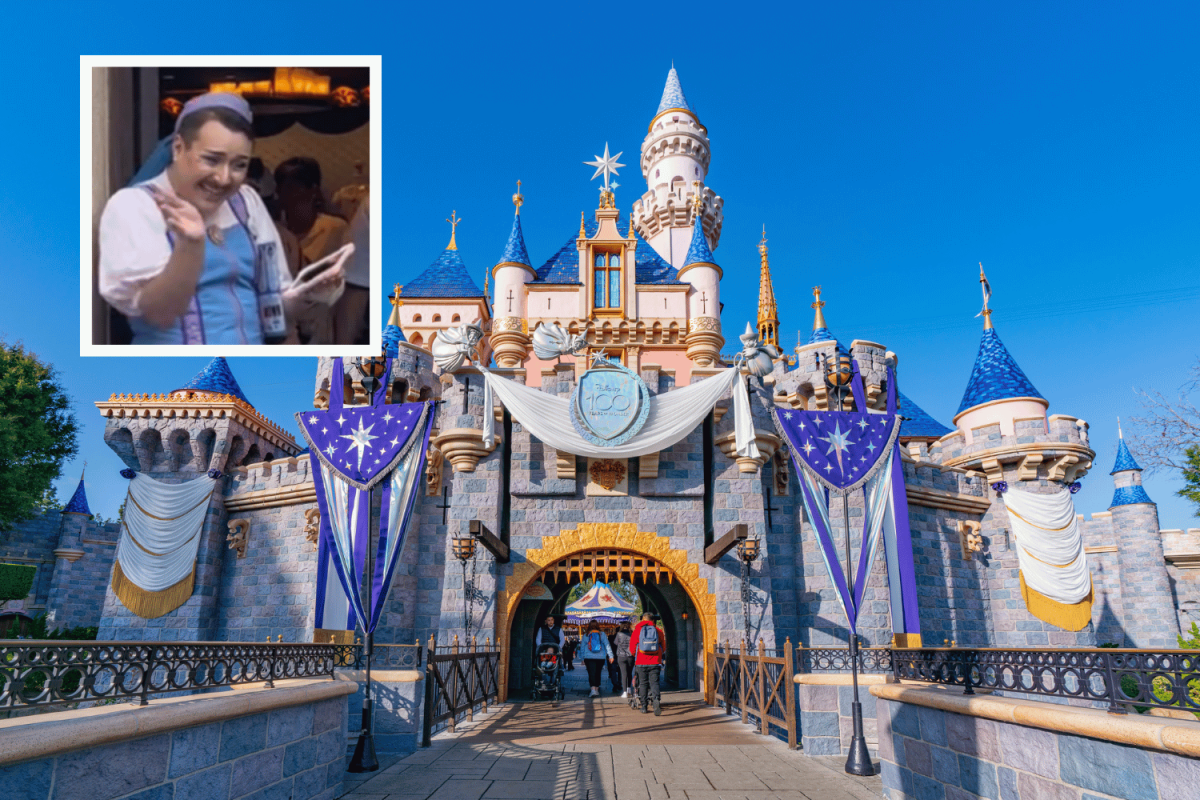 Nick fairy godmother and Disneyland 