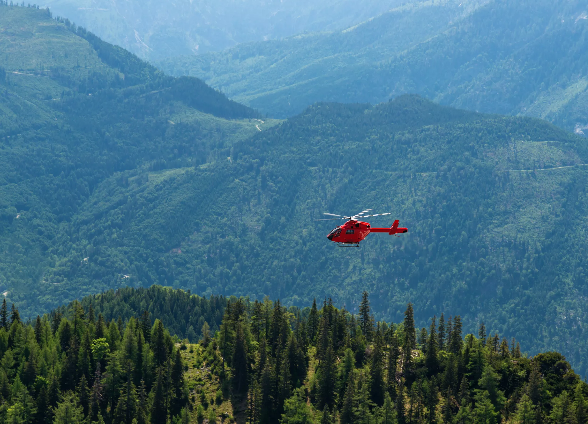 Woman, 78, Found Alive After Four Days Missing In The Woods - Vimarsana News