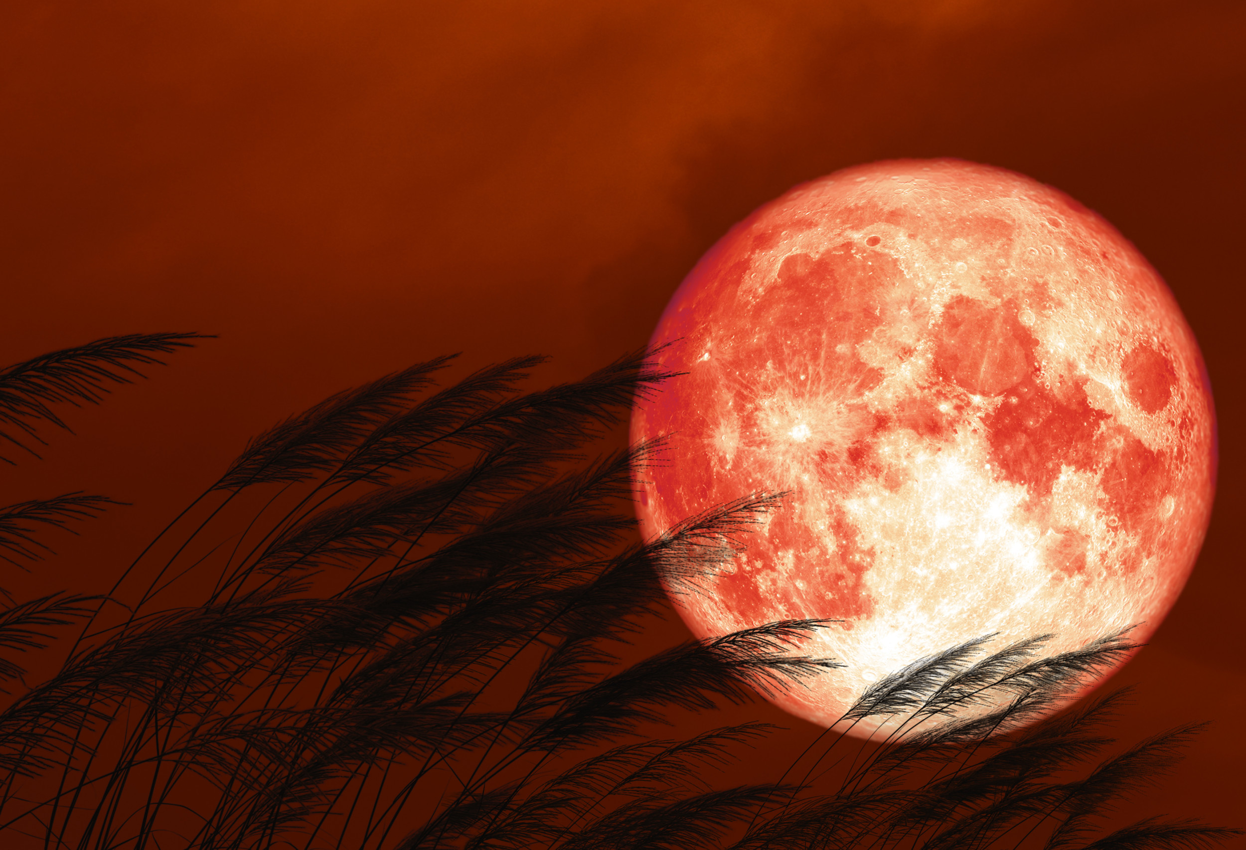 How This Weekend's Strawberry Moon Got Its Name