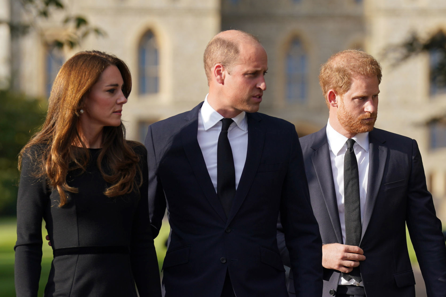 Prince Harry Could Mention William, Kate and Diana on Witness Stand