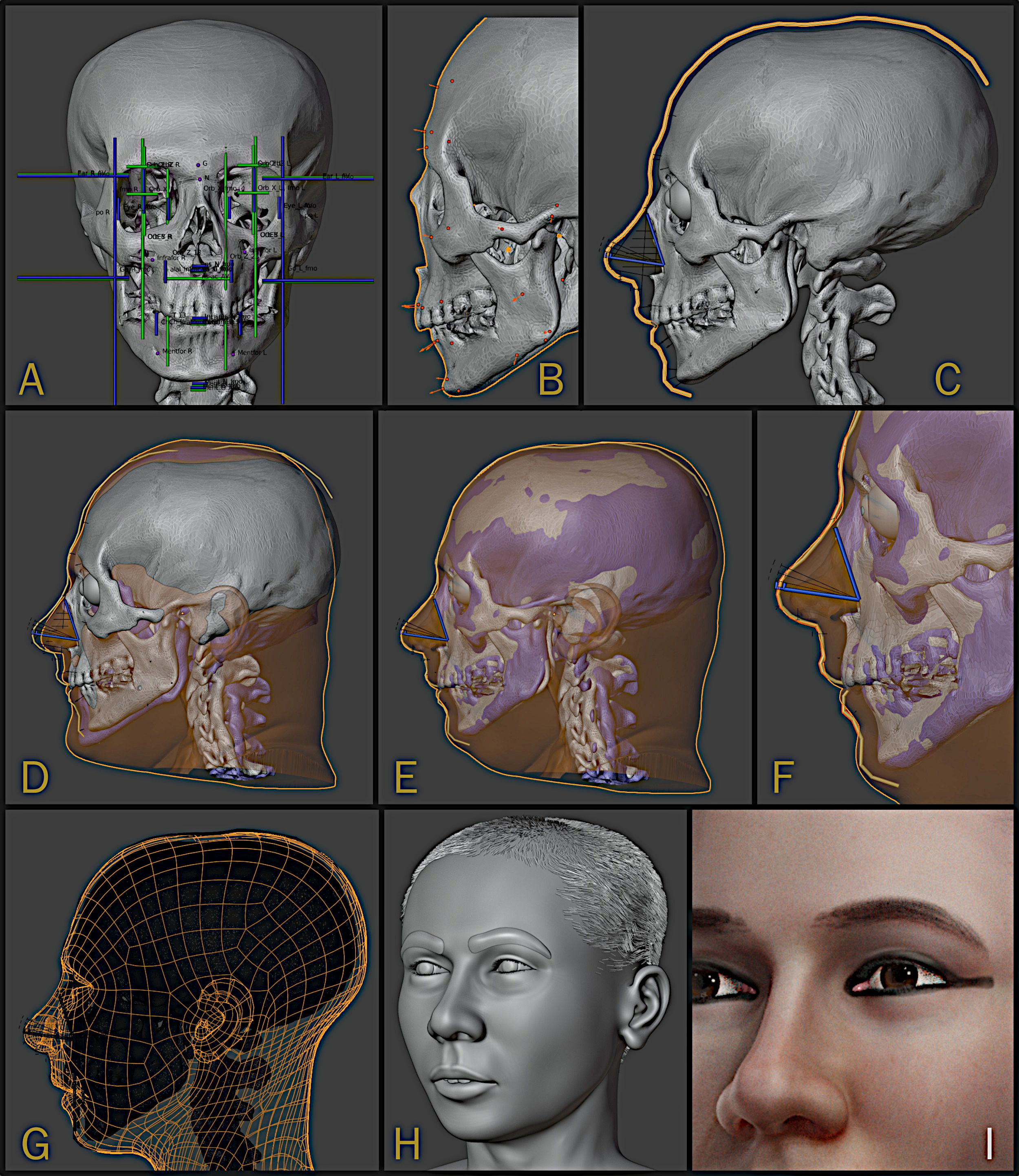 Tutankhamun's Face Revealed in Stunning Detail in New 3D Reconstruction -  Newsweek