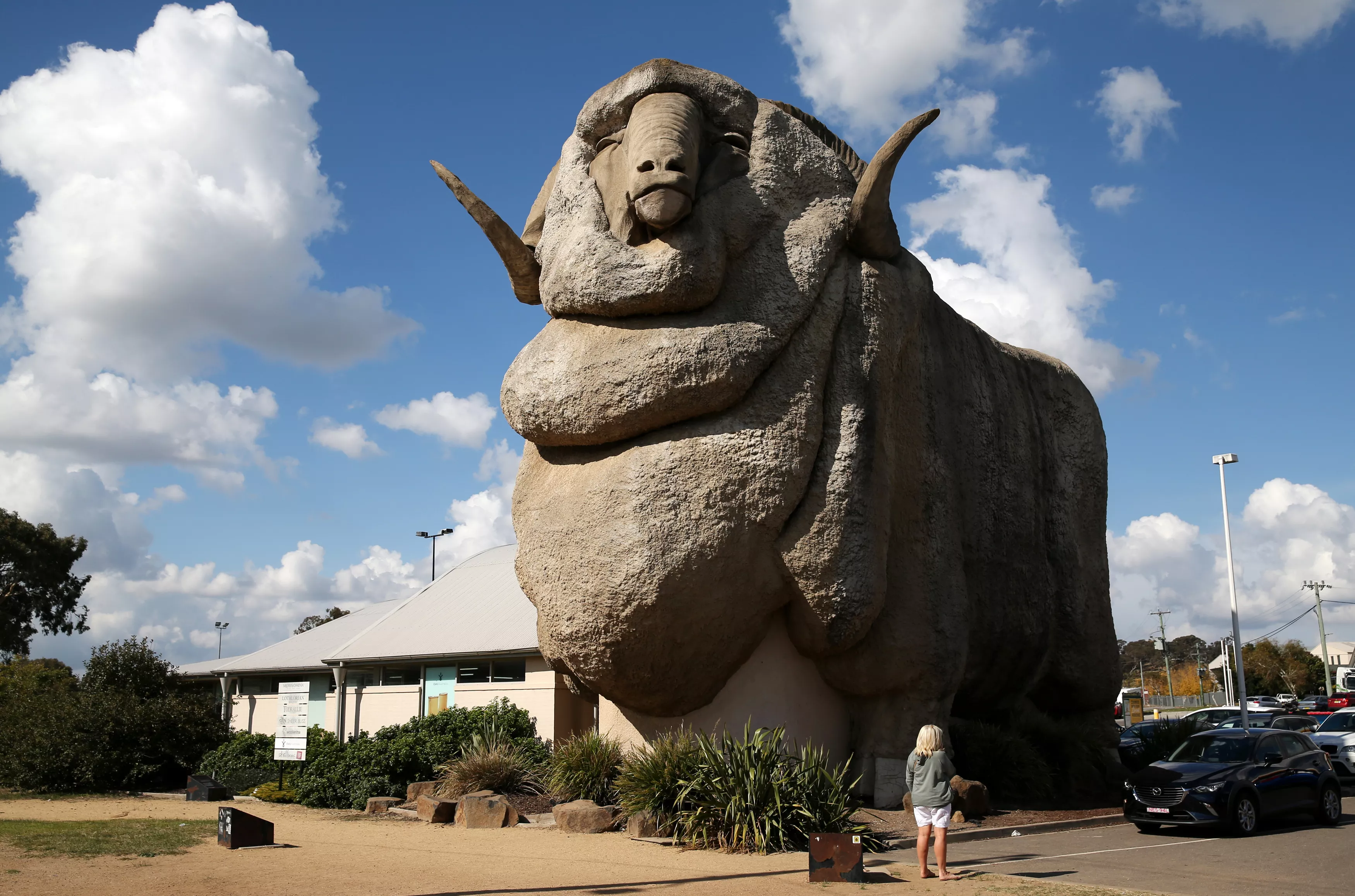 Is That a Giant Pineapple? Weird and Wacky Attractions for Road Trippers - Vimarsana News