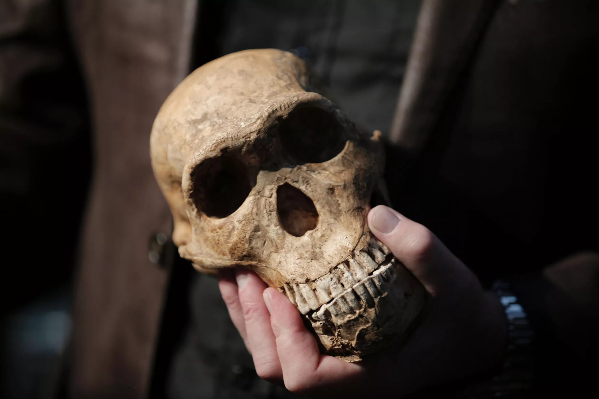 Scientists Shed Light on Mysterious Habits of Small-Brained Extinct Humans - Vimarsana News