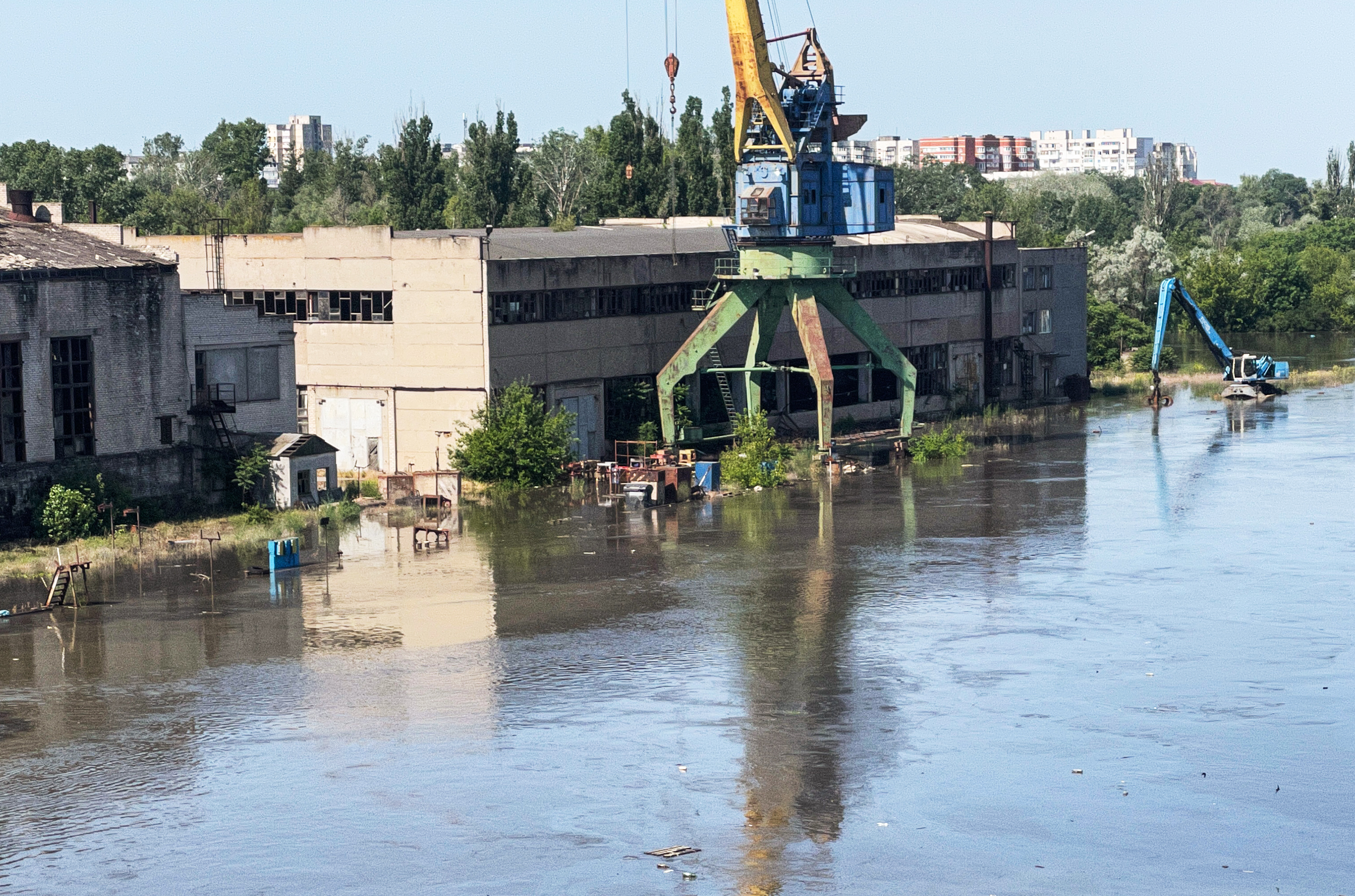 Hundreds of Animals Killed After Dam Attack Floods Ukraine Zoo