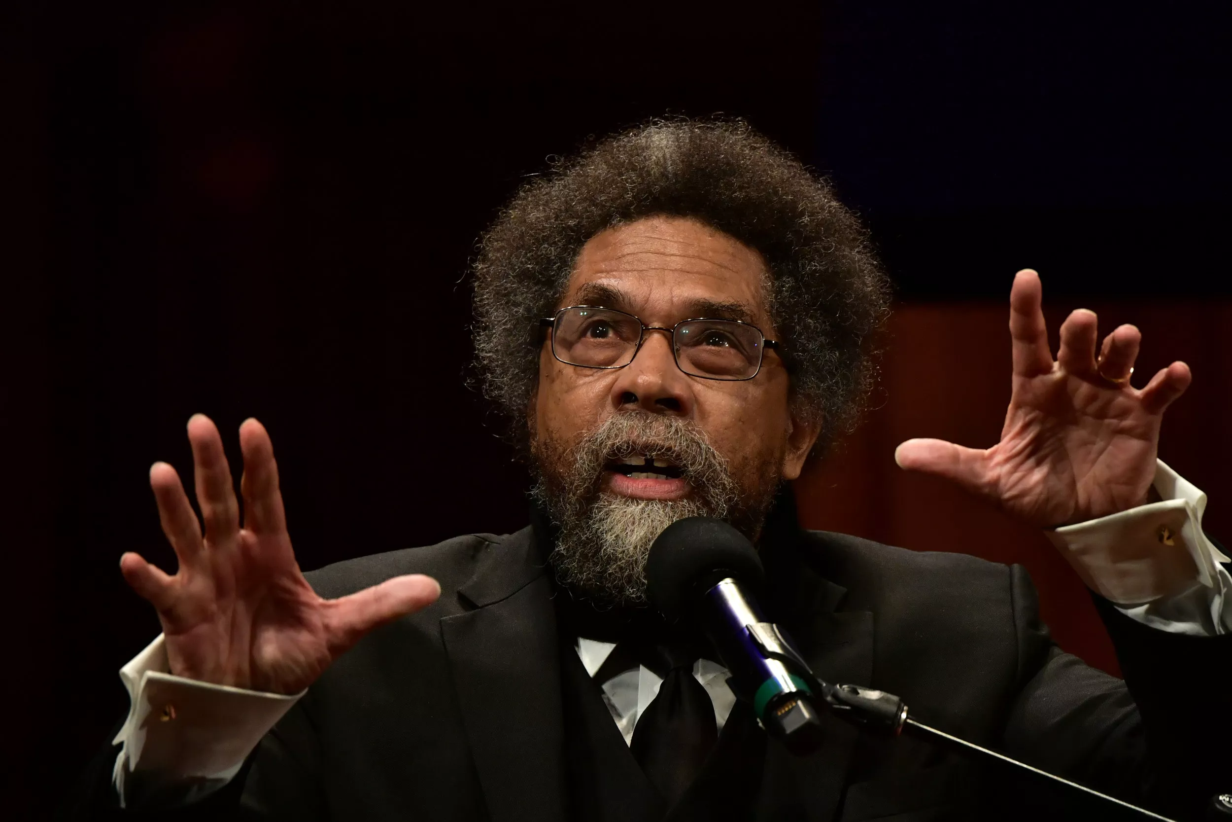 Cornel West Running on Platform of 'Catastrophes' - Vimarsana News