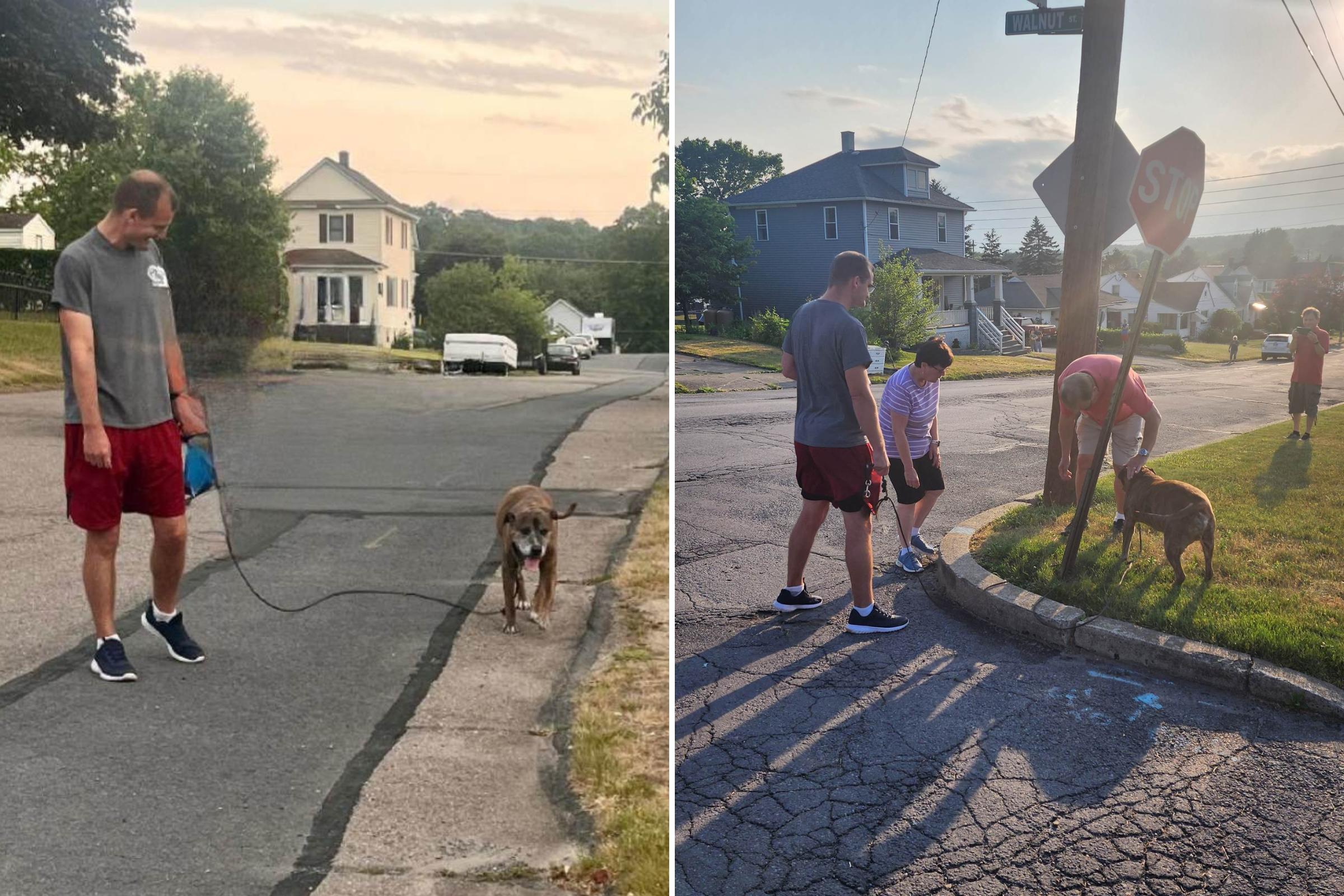 Neighbors Come Out for Dog's Last Walk to Say Goodbye: 'Amazing Send-Off'